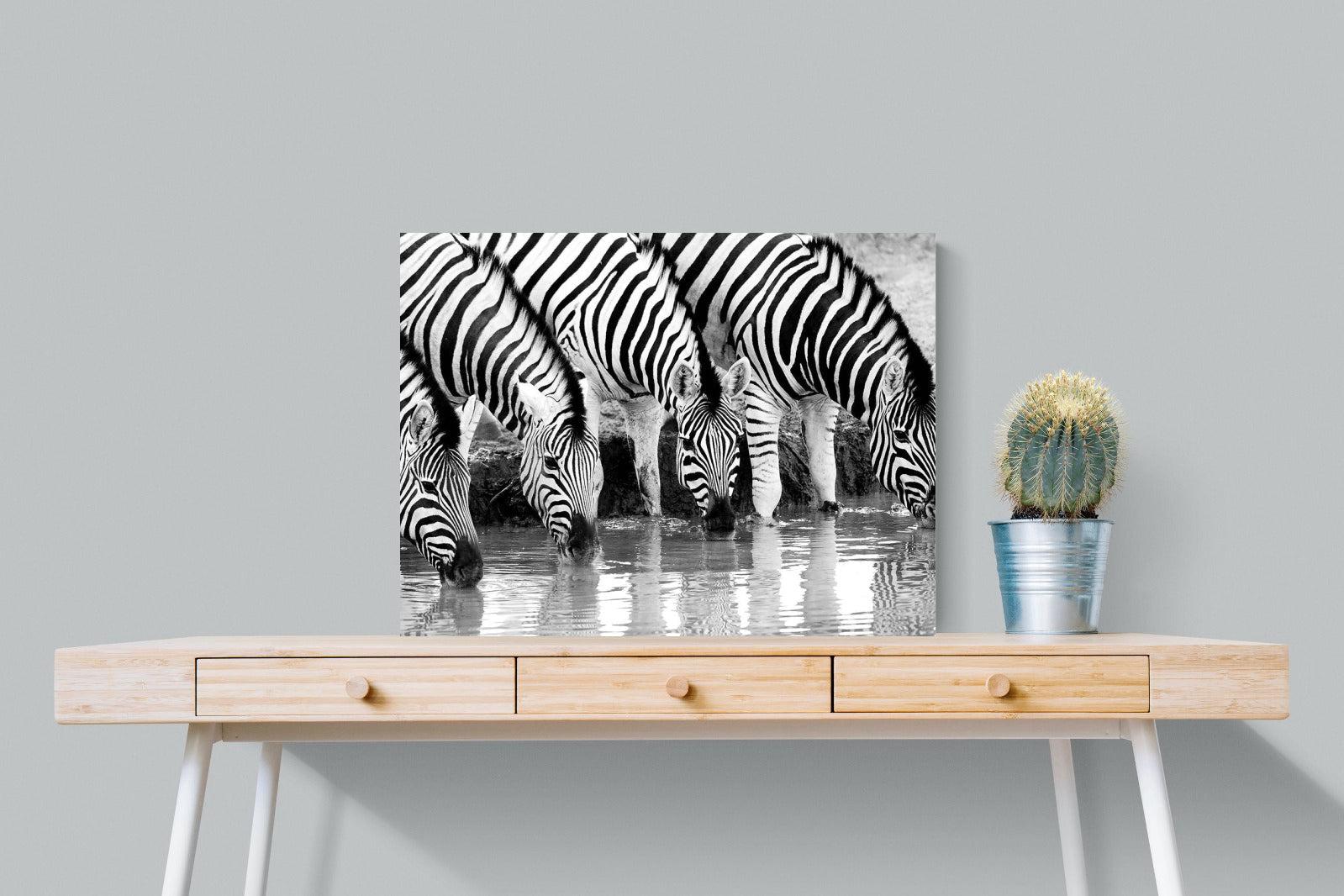 Zebra Quench-Wall_Art-80 x 60cm-Mounted Canvas-No Frame-Pixalot