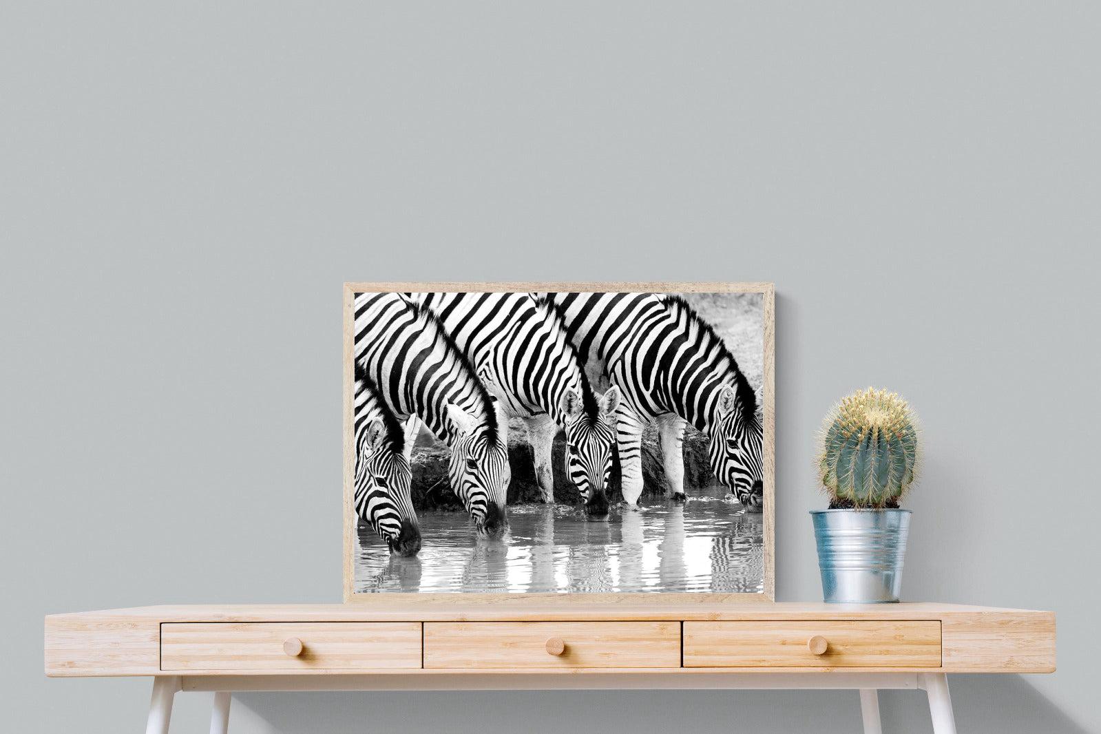 Zebra Quench-Wall_Art-80 x 60cm-Mounted Canvas-Wood-Pixalot