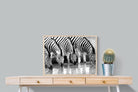Zebra Quench-Wall_Art-80 x 60cm-Mounted Canvas-Wood-Pixalot