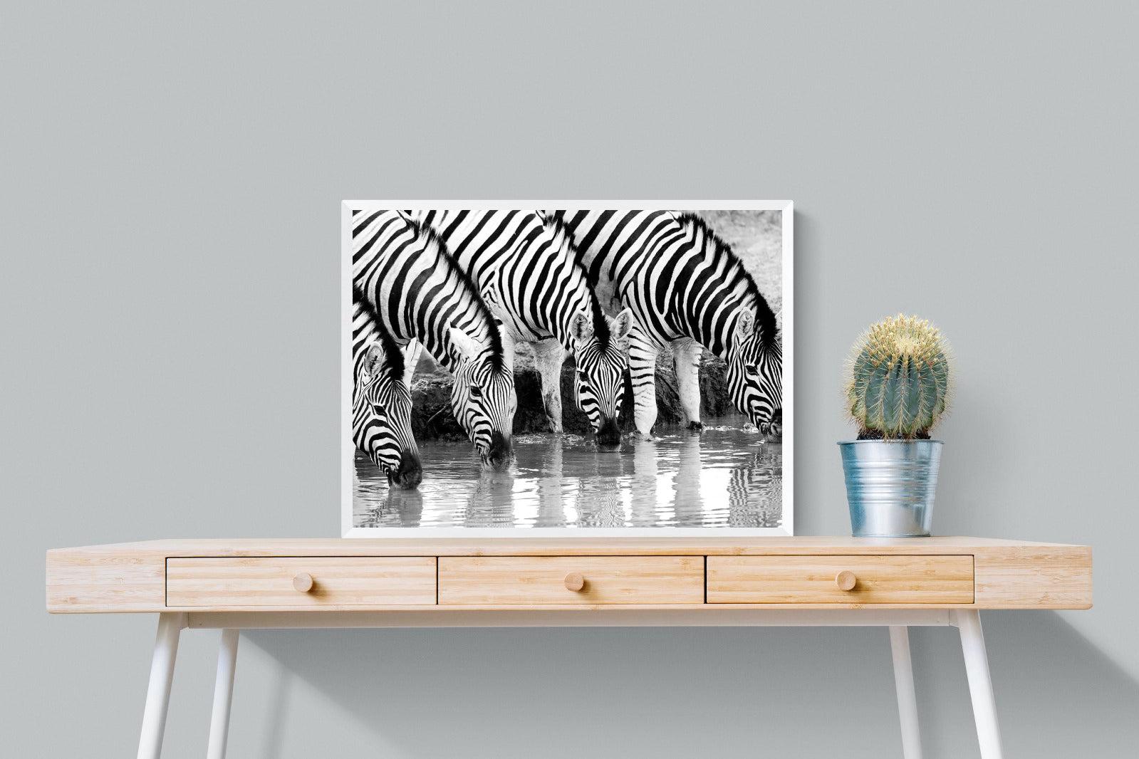 Zebra Quench-Wall_Art-80 x 60cm-Mounted Canvas-White-Pixalot