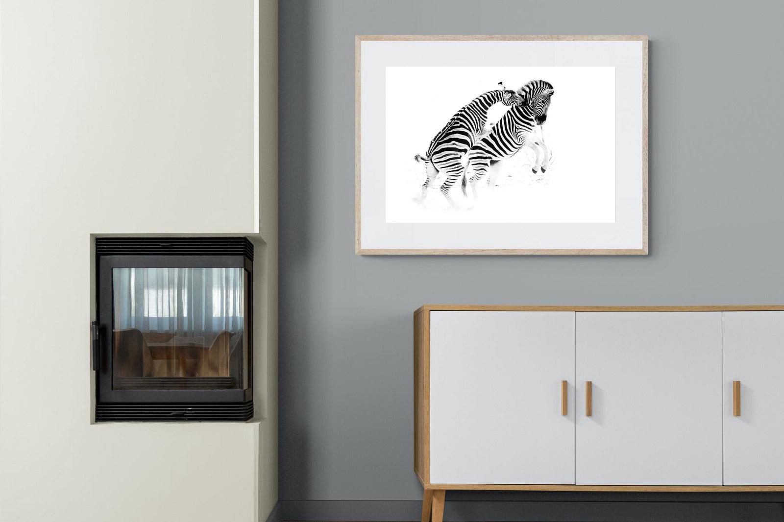 Zebra Tussle-Wall_Art-100 x 75cm-Framed Print-Wood-Pixalot