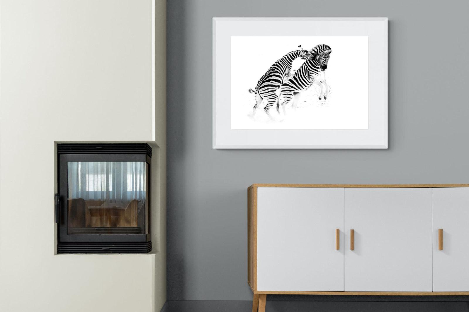 Zebra Tussle-Wall_Art-100 x 75cm-Framed Print-White-Pixalot