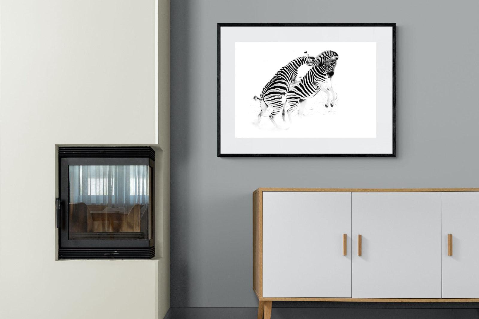 Zebra Tussle-Wall_Art-100 x 75cm-Framed Print-Black-Pixalot
