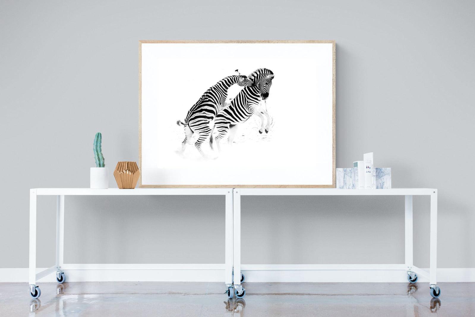 Zebra Tussle-Wall_Art-120 x 90cm-Framed Print-Wood-Pixalot