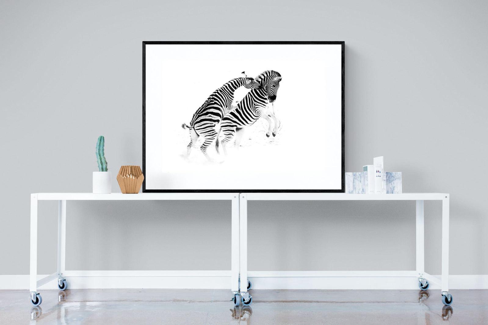 Zebra Tussle-Wall_Art-120 x 90cm-Framed Print-Black-Pixalot