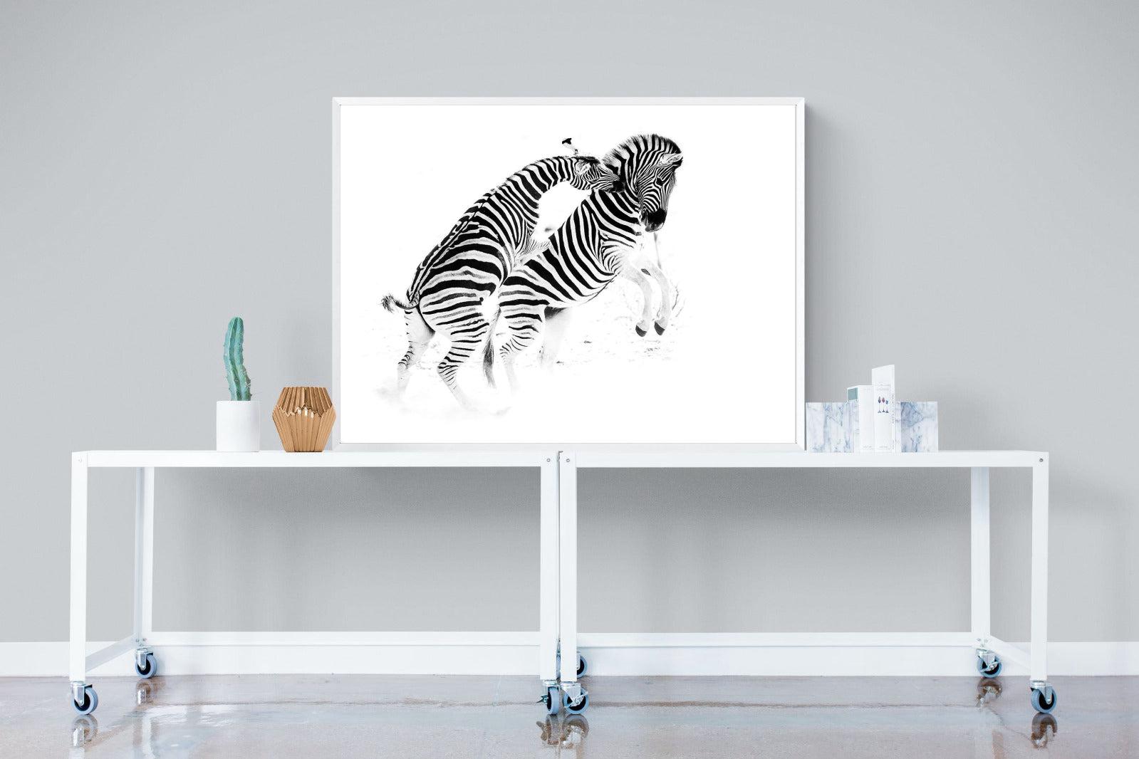 Zebra Tussle-Wall_Art-120 x 90cm-Mounted Canvas-White-Pixalot