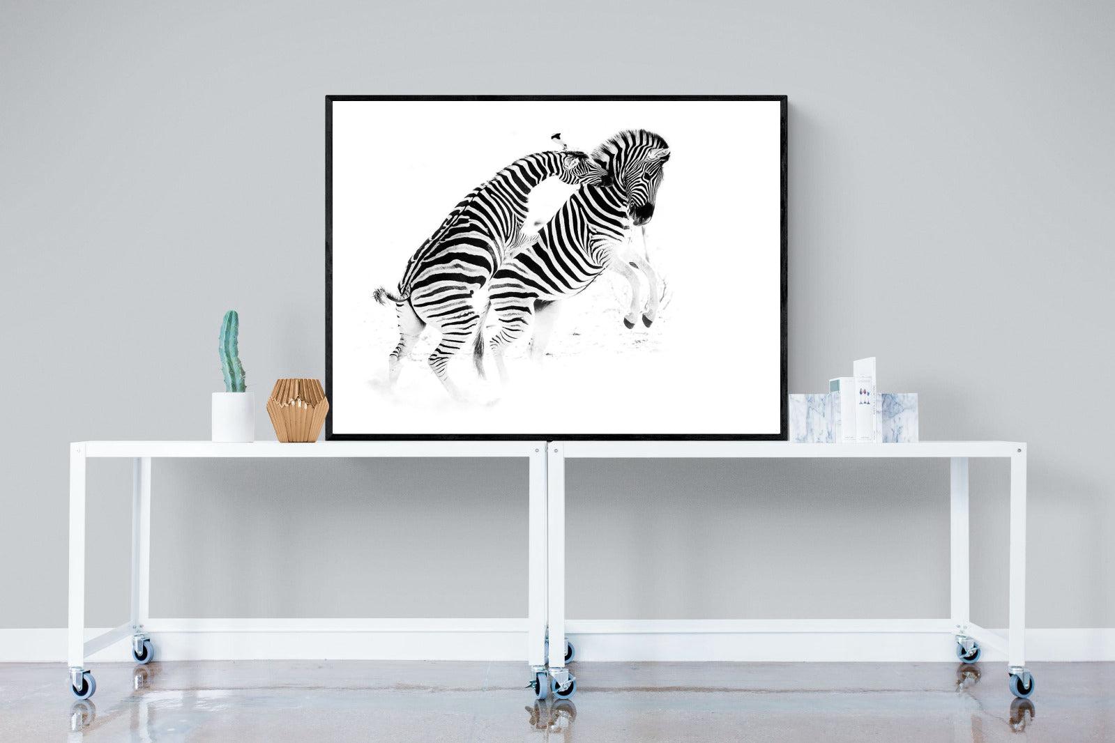 Zebra Tussle-Wall_Art-120 x 90cm-Mounted Canvas-Black-Pixalot