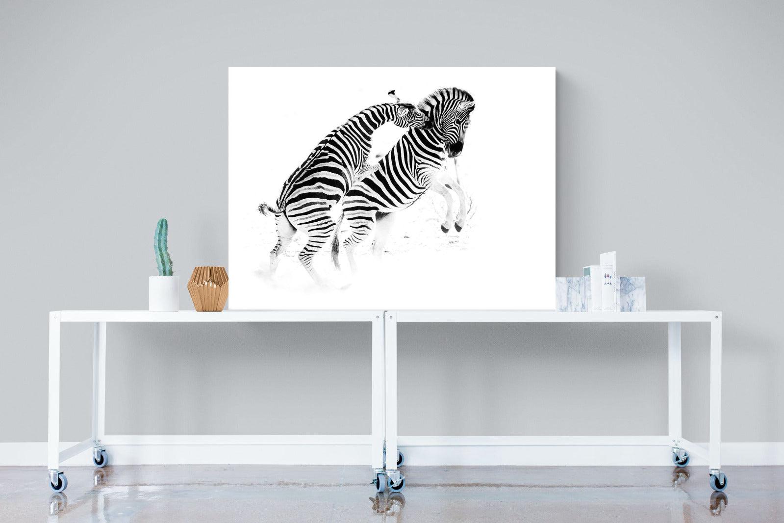 Zebra Tussle-Wall_Art-120 x 90cm-Mounted Canvas-No Frame-Pixalot