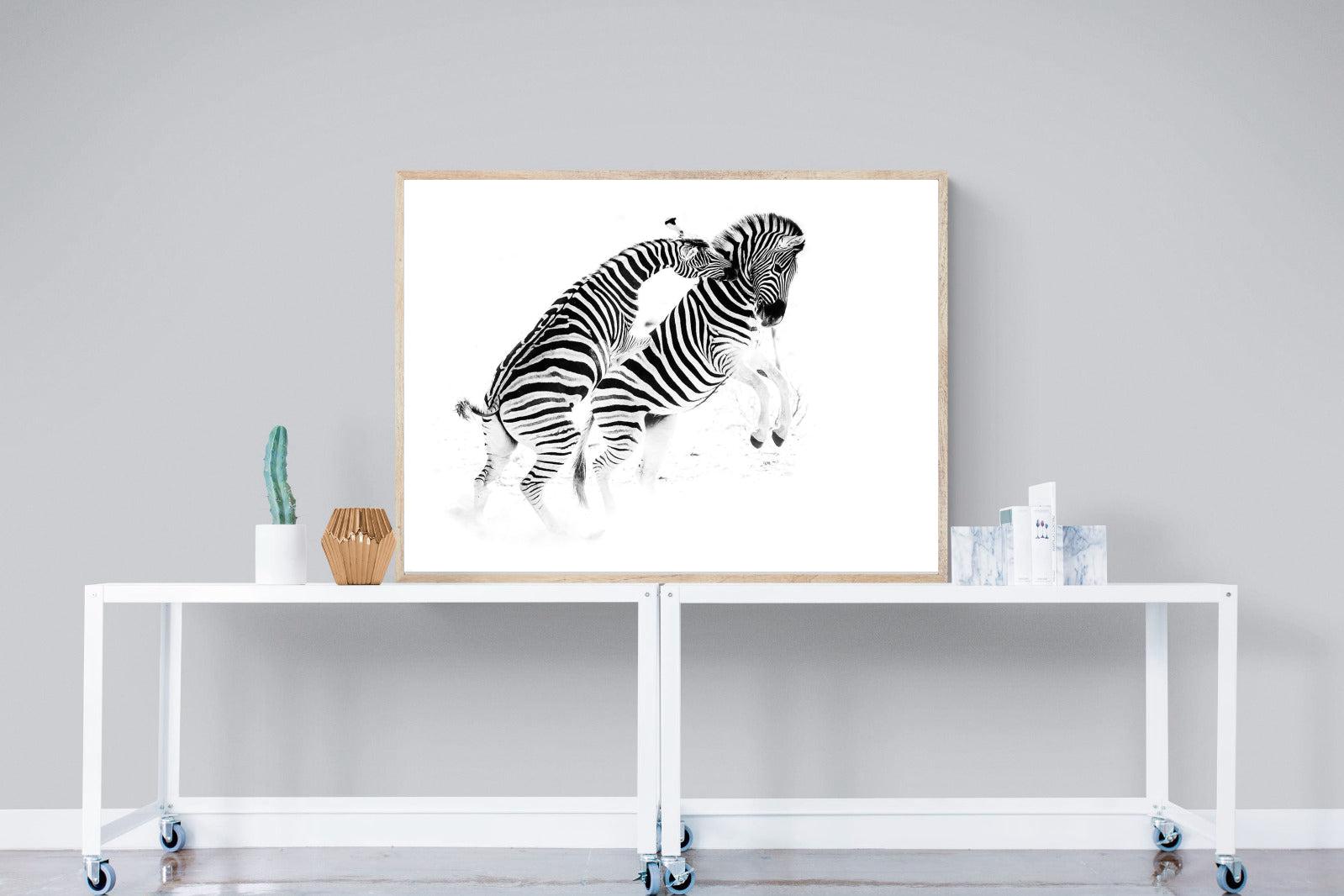 Zebra Tussle-Wall_Art-120 x 90cm-Mounted Canvas-Wood-Pixalot