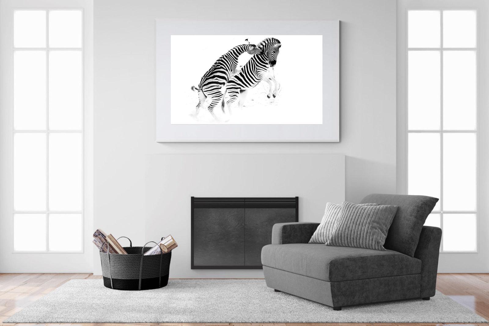 Zebra Tussle-Wall_Art-150 x 100cm-Framed Print-White-Pixalot