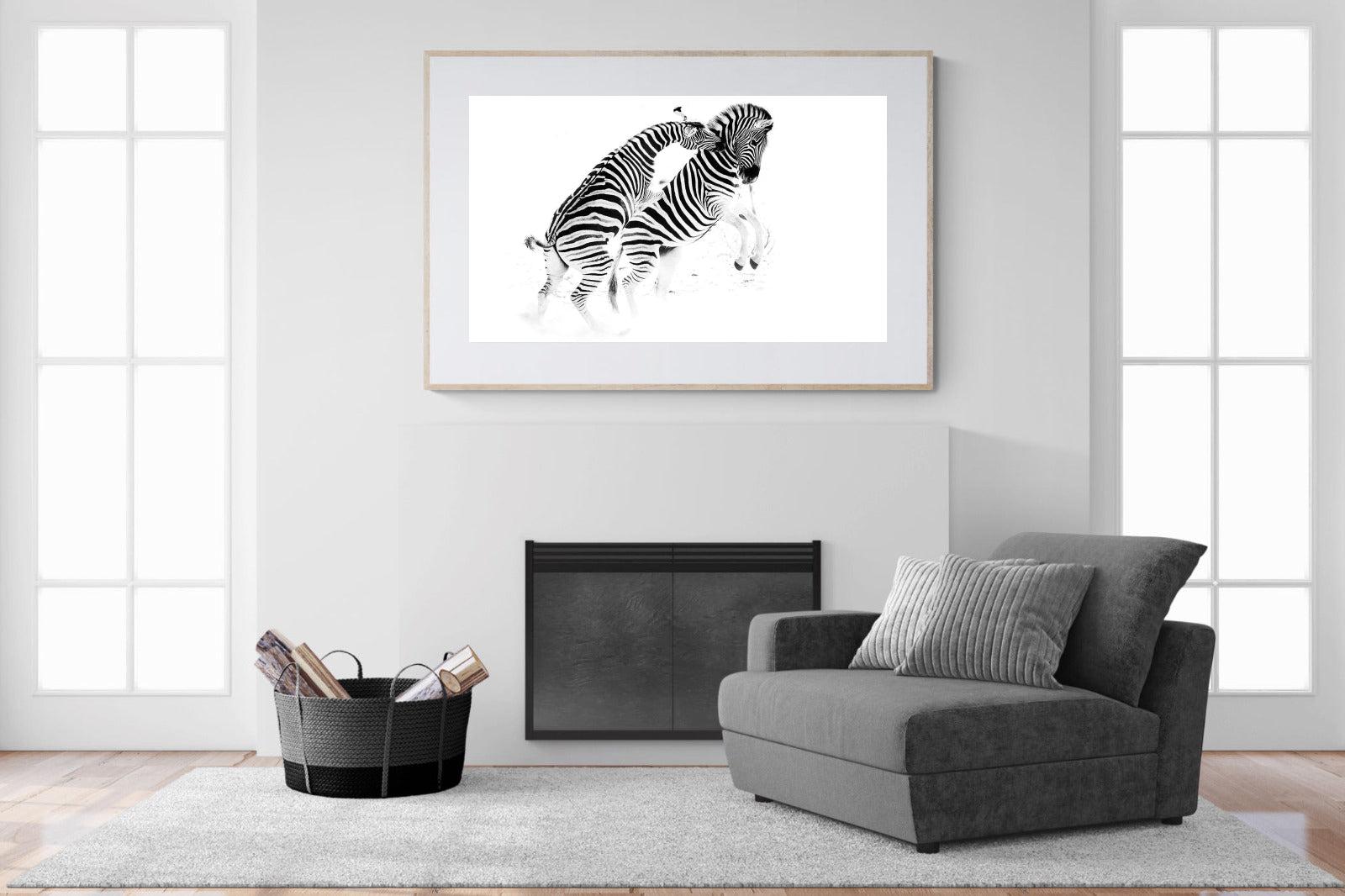 Zebra Tussle-Wall_Art-150 x 100cm-Framed Print-Wood-Pixalot