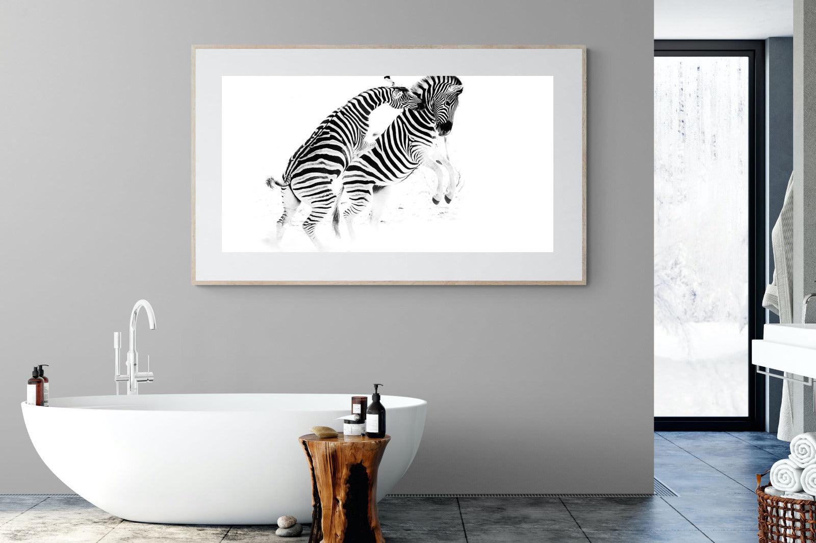 Zebra Tussle-Wall_Art-180 x 110cm-Framed Print-Wood-Pixalot