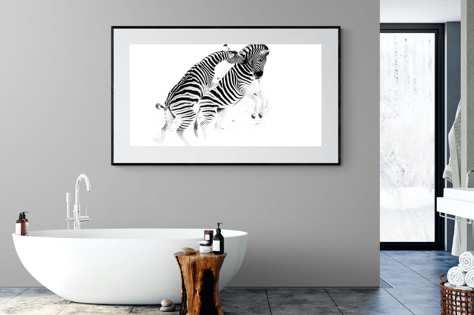 Zebra Tussle-Wall_Art-180 x 110cm-Framed Print-Black-Pixalot