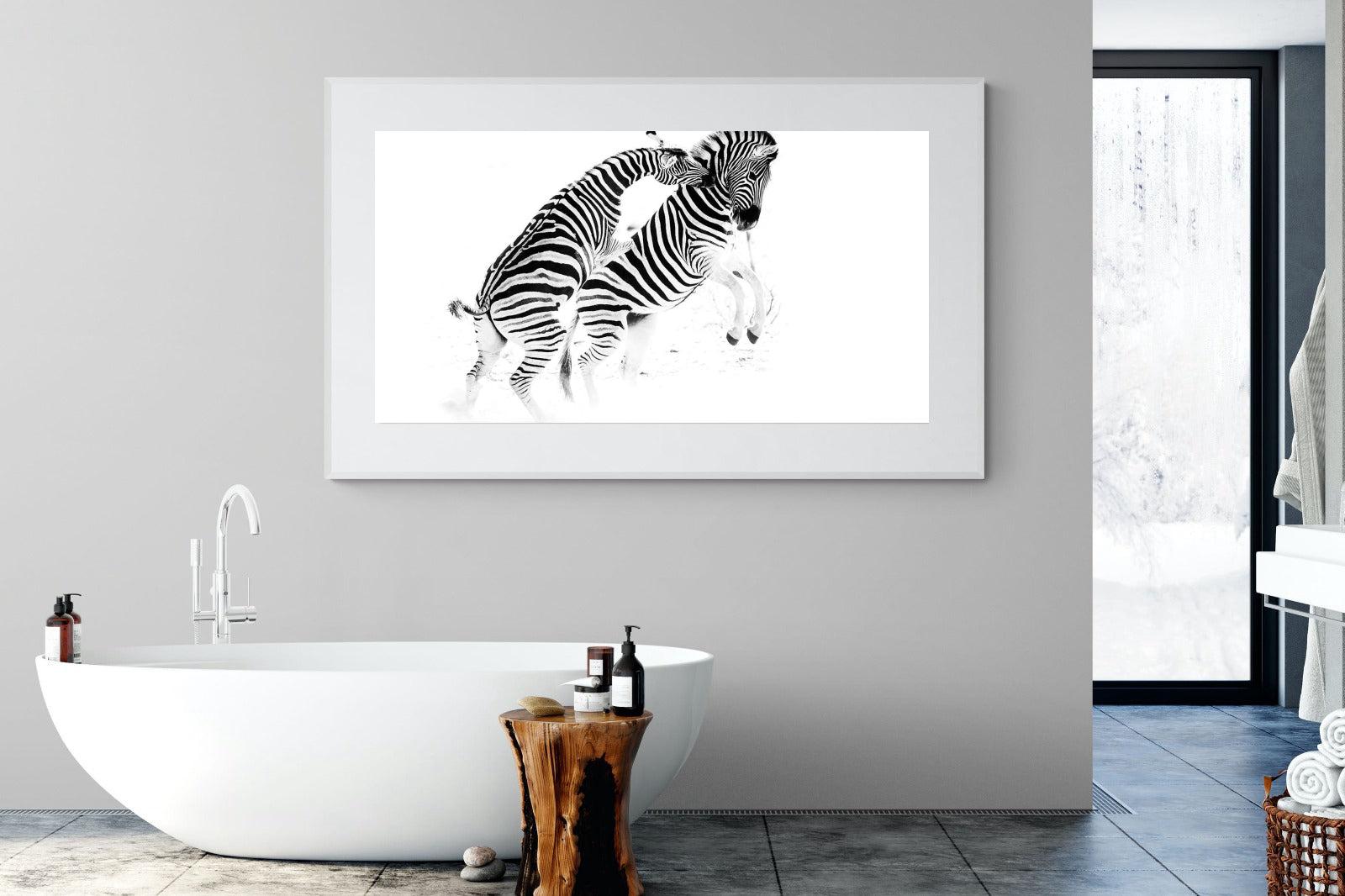Zebra Tussle-Wall_Art-180 x 110cm-Framed Print-White-Pixalot