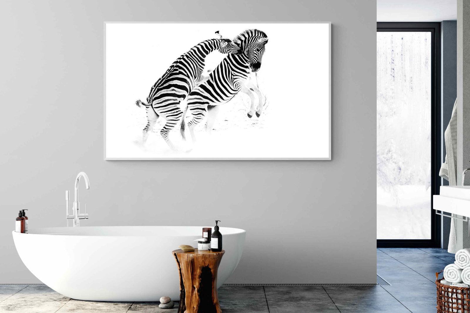 Zebra Tussle-Wall_Art-180 x 110cm-Mounted Canvas-White-Pixalot