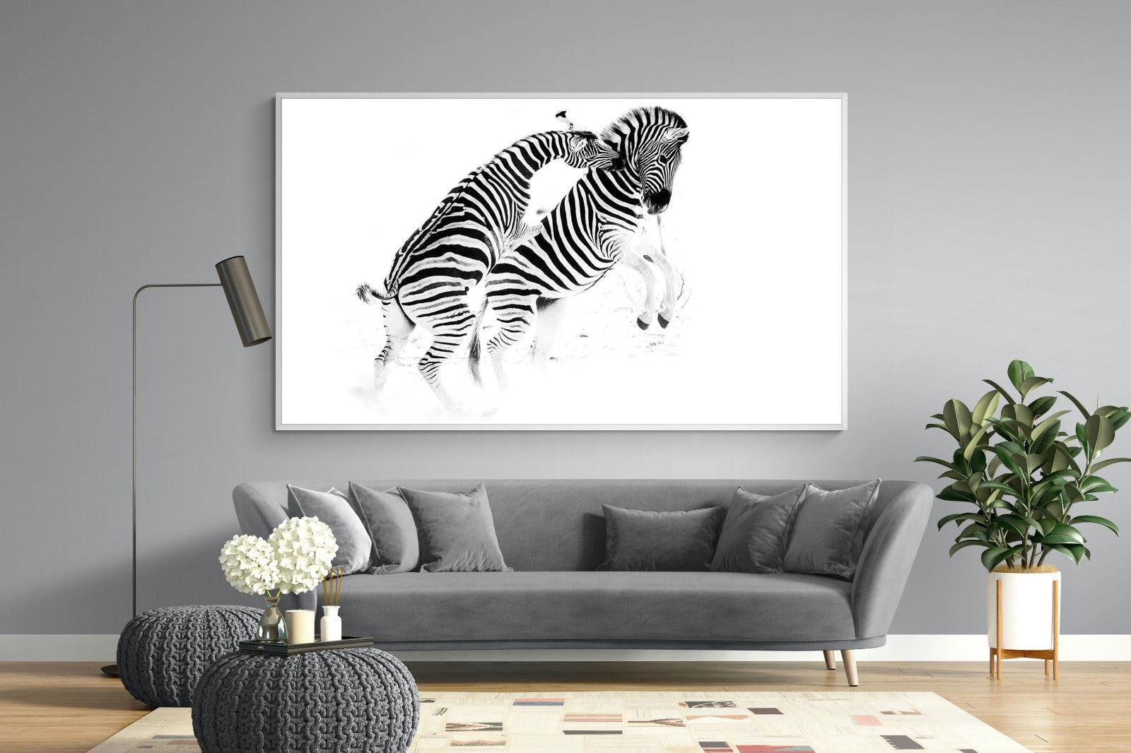Zebra Tussle-Wall_Art-220 x 130cm-Mounted Canvas-White-Pixalot
