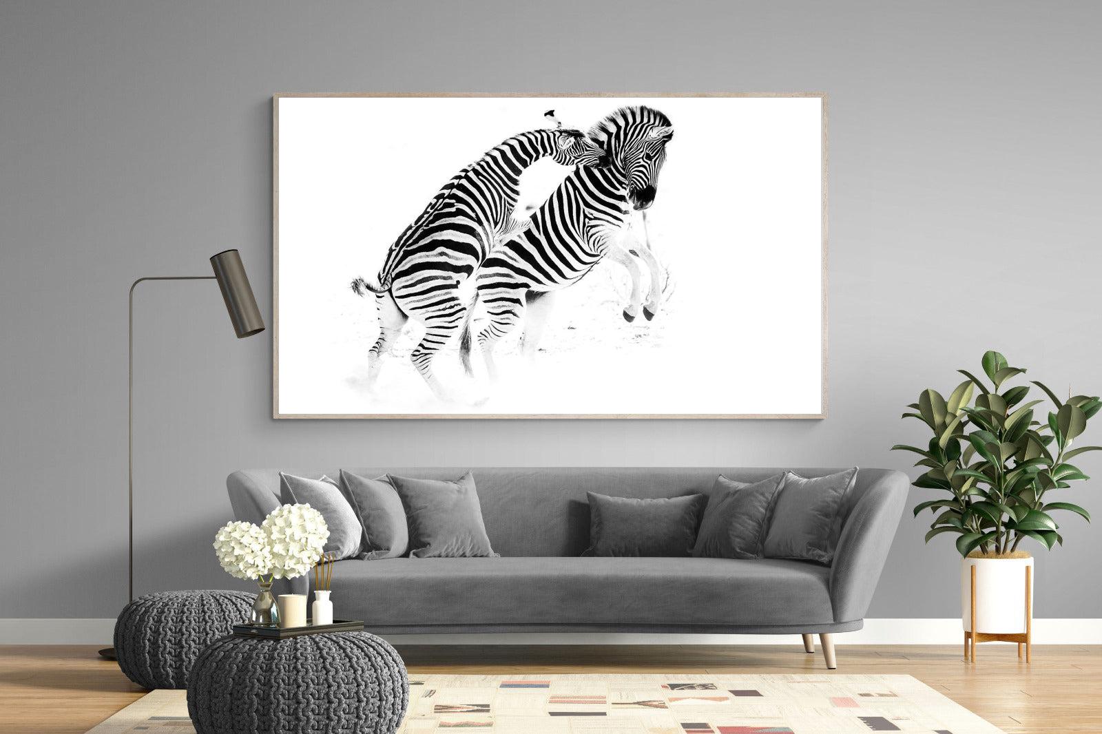 Zebra Tussle-Wall_Art-220 x 130cm-Mounted Canvas-Wood-Pixalot