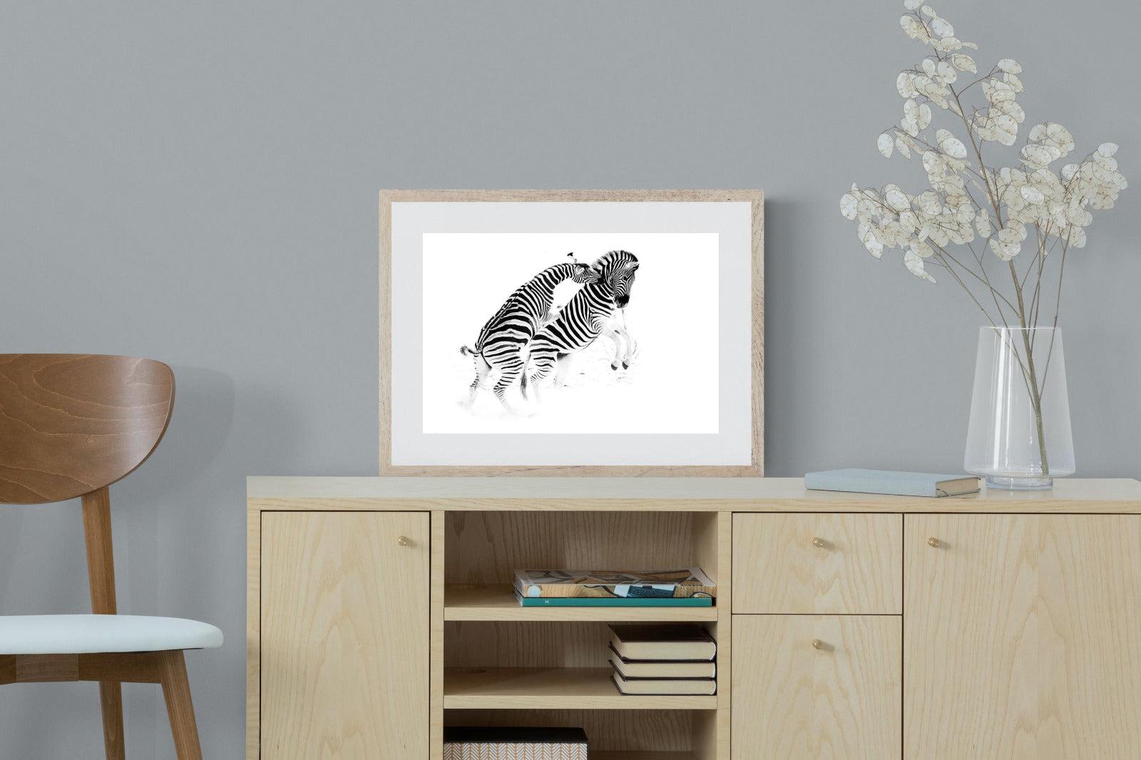Zebra Tussle-Wall_Art-60 x 45cm-Framed Print-Wood-Pixalot
