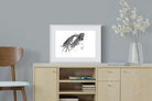Zebra Tussle-Wall_Art-60 x 45cm-Framed Print-White-Pixalot