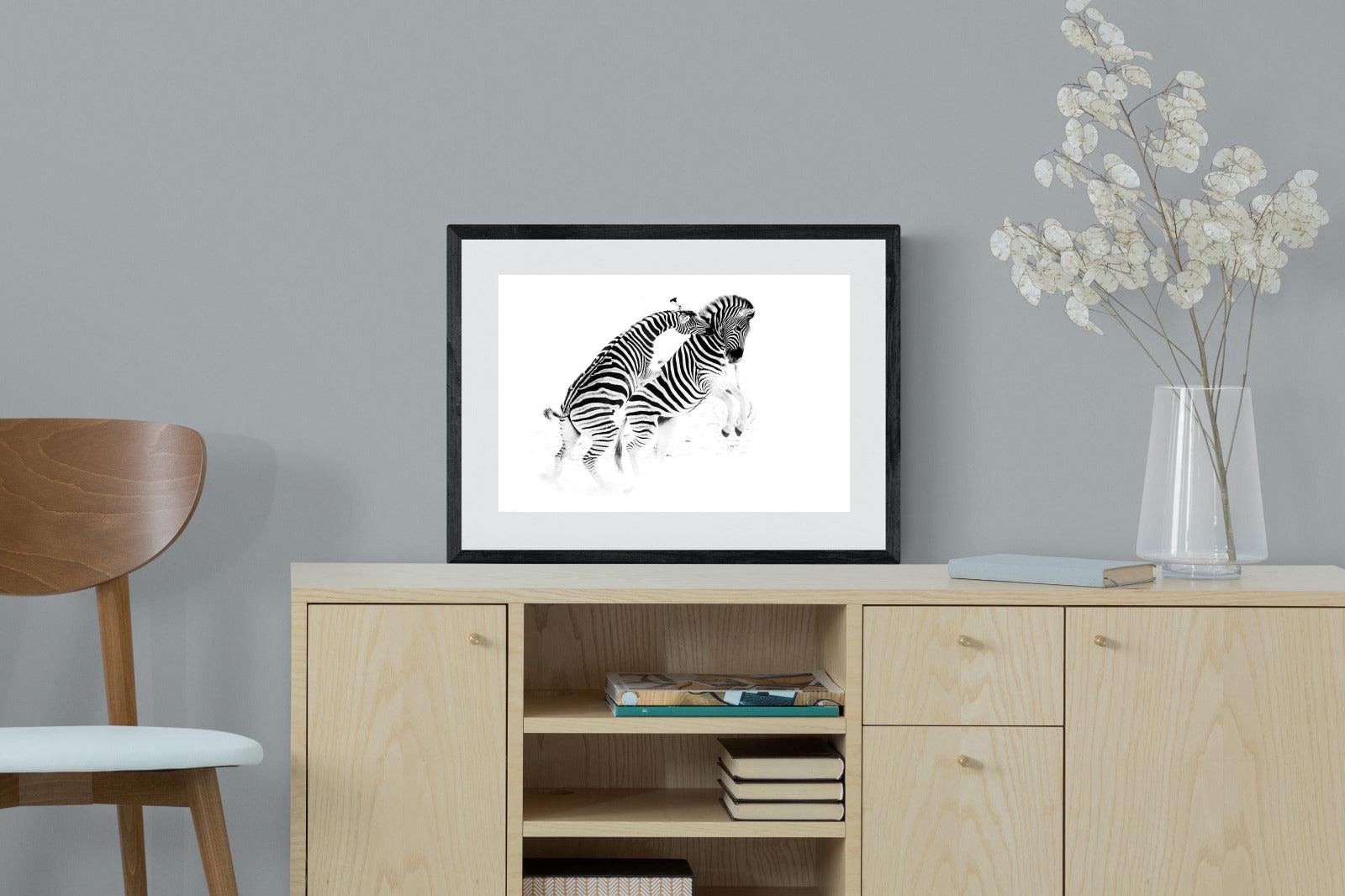 Zebra Tussle-Wall_Art-60 x 45cm-Framed Print-Black-Pixalot