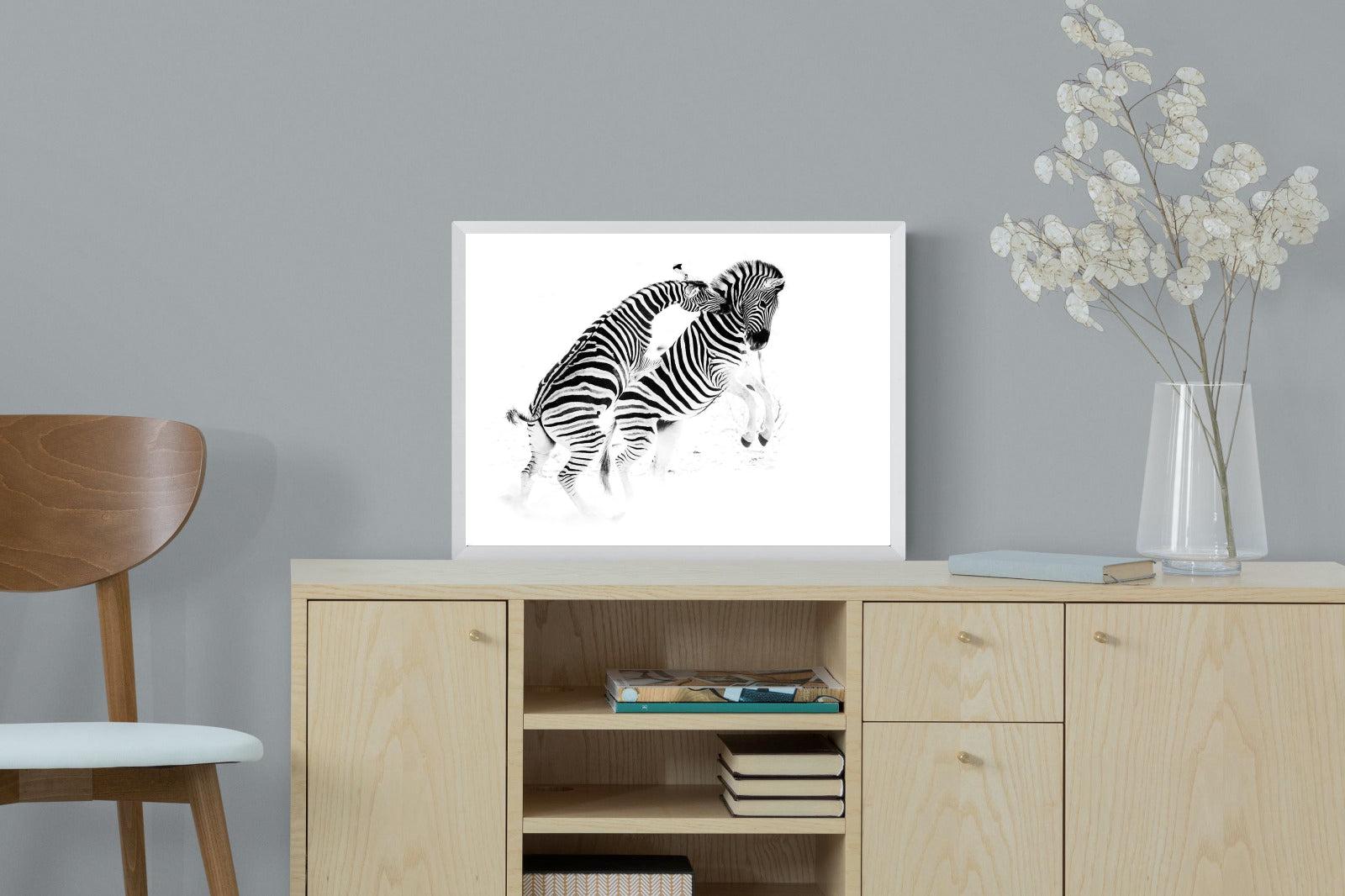 Zebra Tussle-Wall_Art-60 x 45cm-Mounted Canvas-White-Pixalot