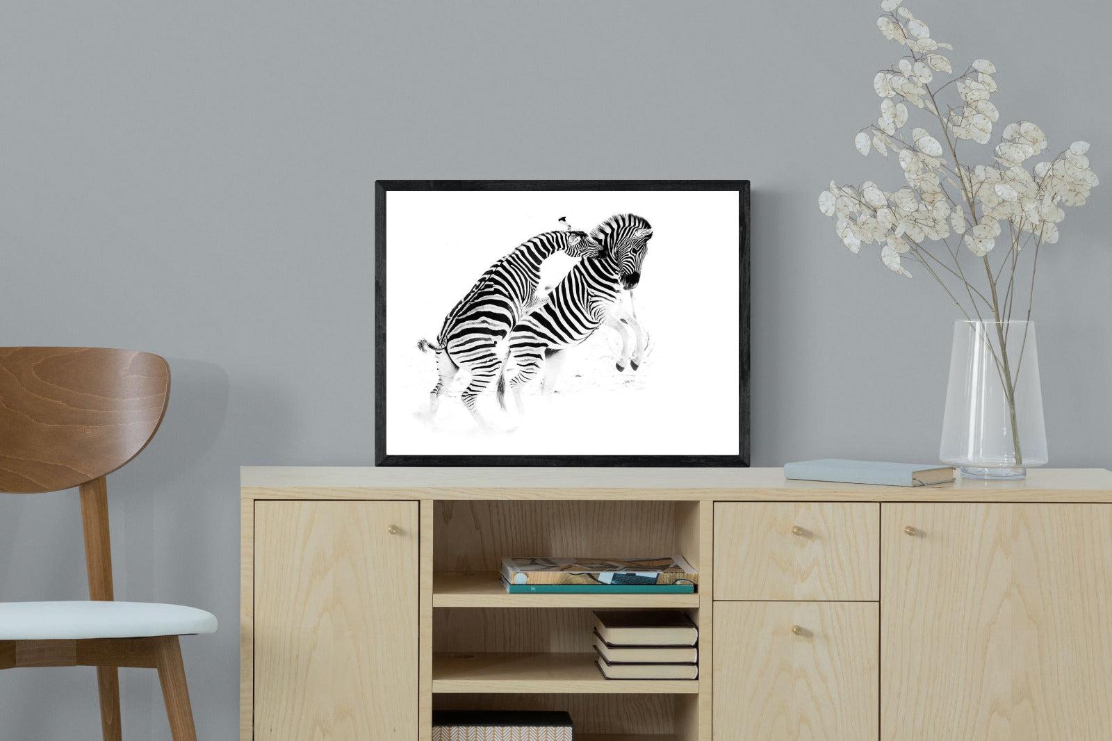Zebra Tussle-Wall_Art-60 x 45cm-Mounted Canvas-Black-Pixalot