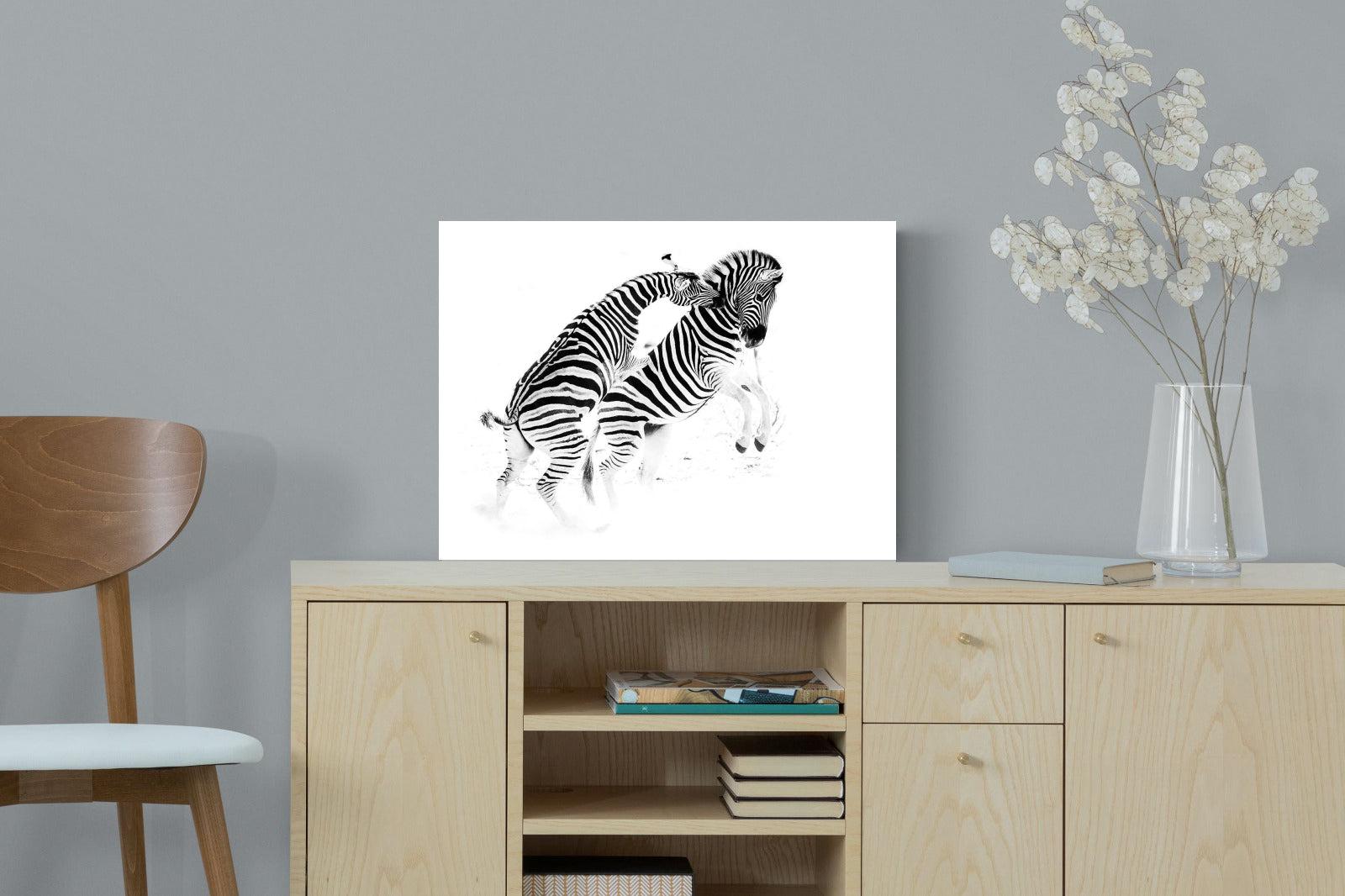 Zebra Tussle-Wall_Art-60 x 45cm-Mounted Canvas-No Frame-Pixalot