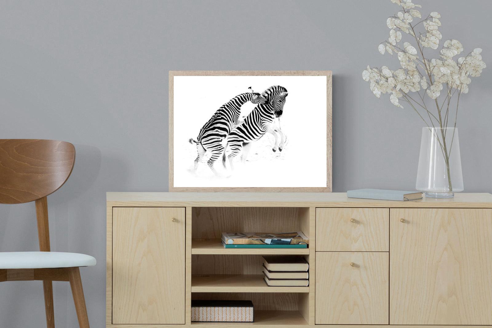 Zebra Tussle-Wall_Art-60 x 45cm-Mounted Canvas-Wood-Pixalot