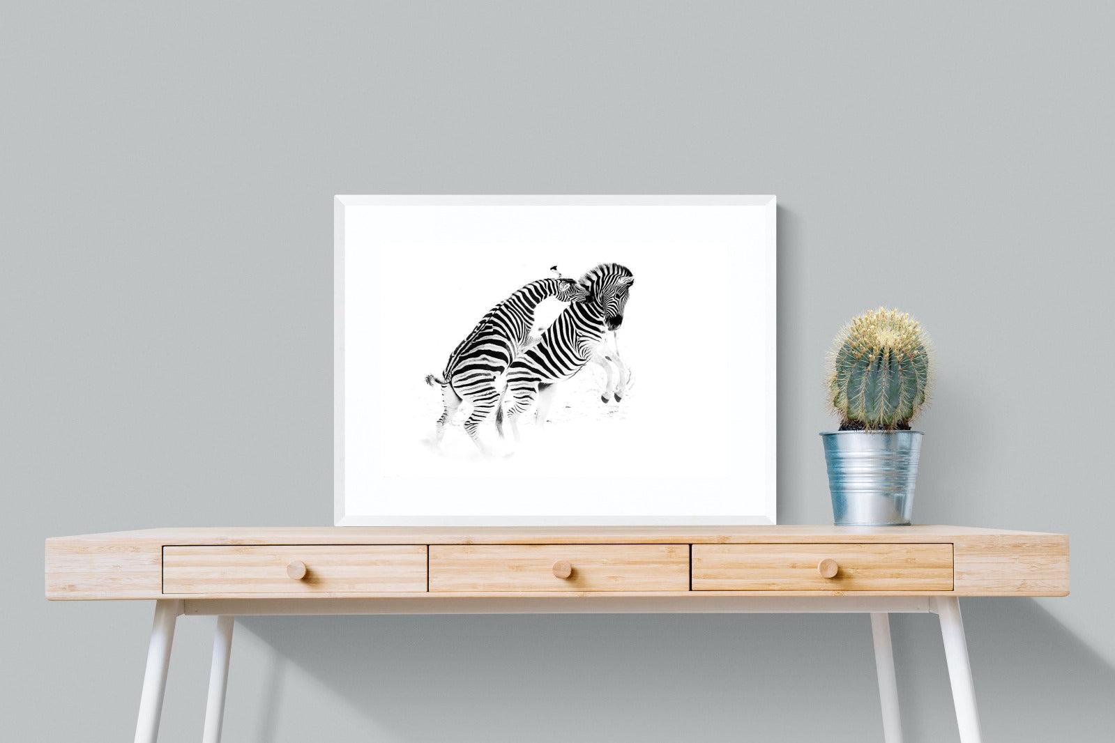 Zebra Tussle-Wall_Art-80 x 60cm-Framed Print-White-Pixalot