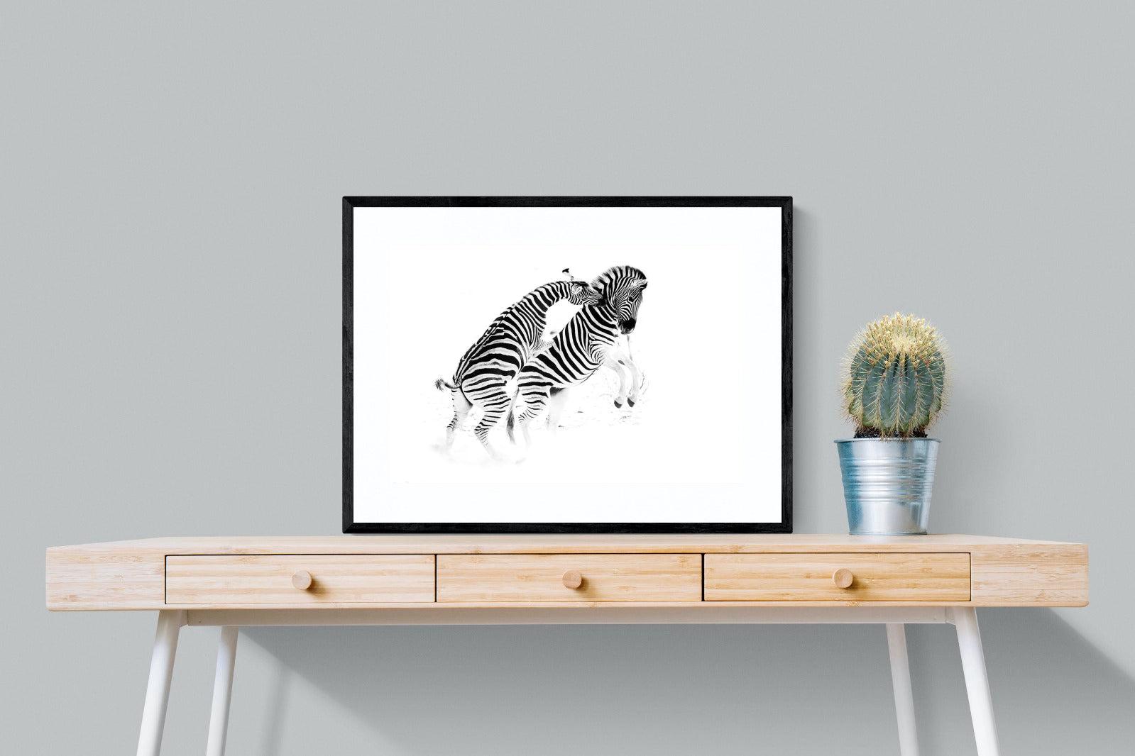 Zebra Tussle-Wall_Art-80 x 60cm-Framed Print-Black-Pixalot