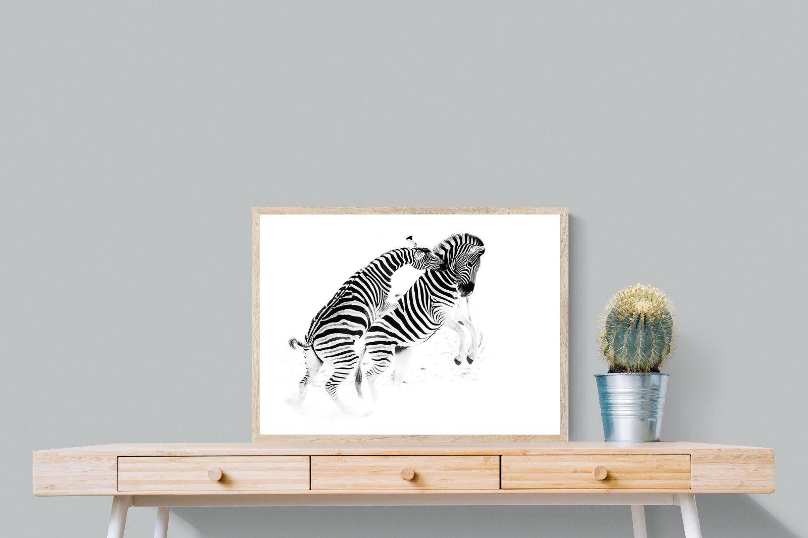 Zebra Tussle-Wall_Art-80 x 60cm-Mounted Canvas-Wood-Pixalot