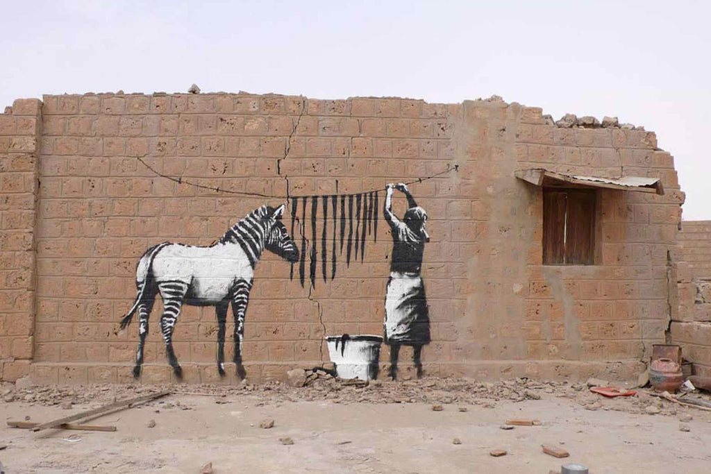 Zebra Washing Line-Wall_Art-Pixalot