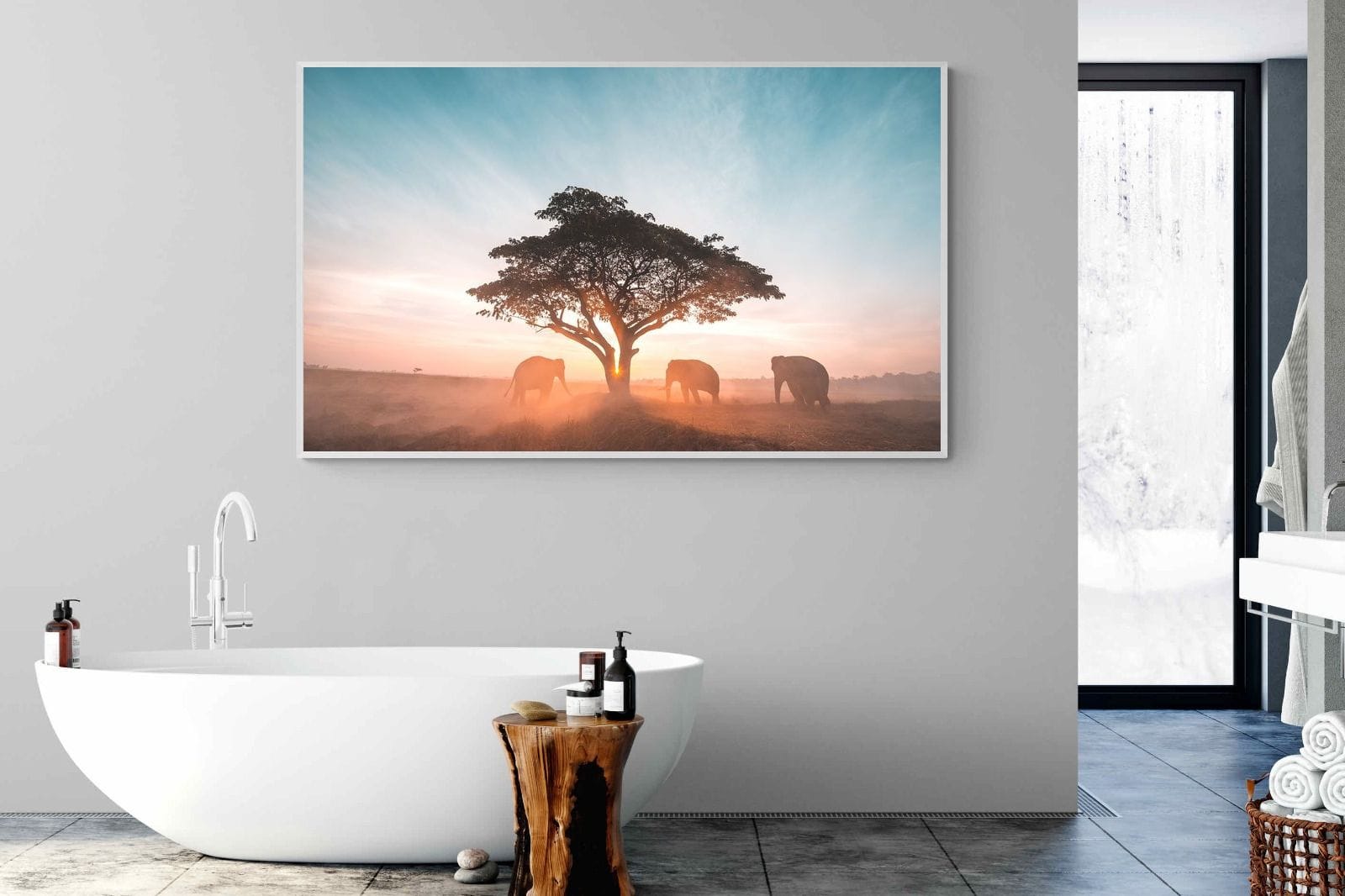 Acacia Cover-Wall_Art-180 x 110cm-Mounted Canvas-White-Pixalot