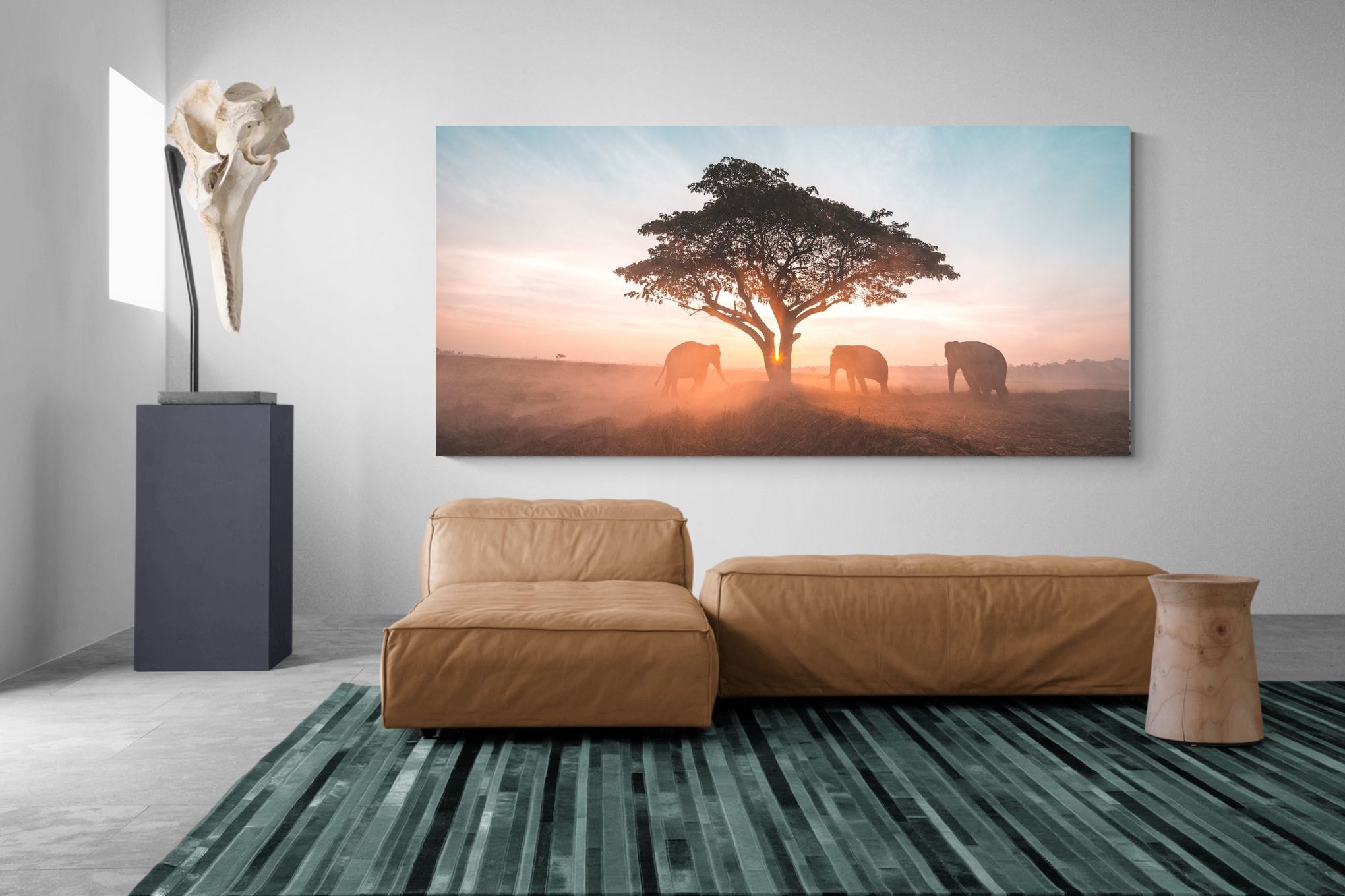 Acacia Cover-Wall_Art-275 x 130cm-Mounted Canvas-No Frame-Pixalot