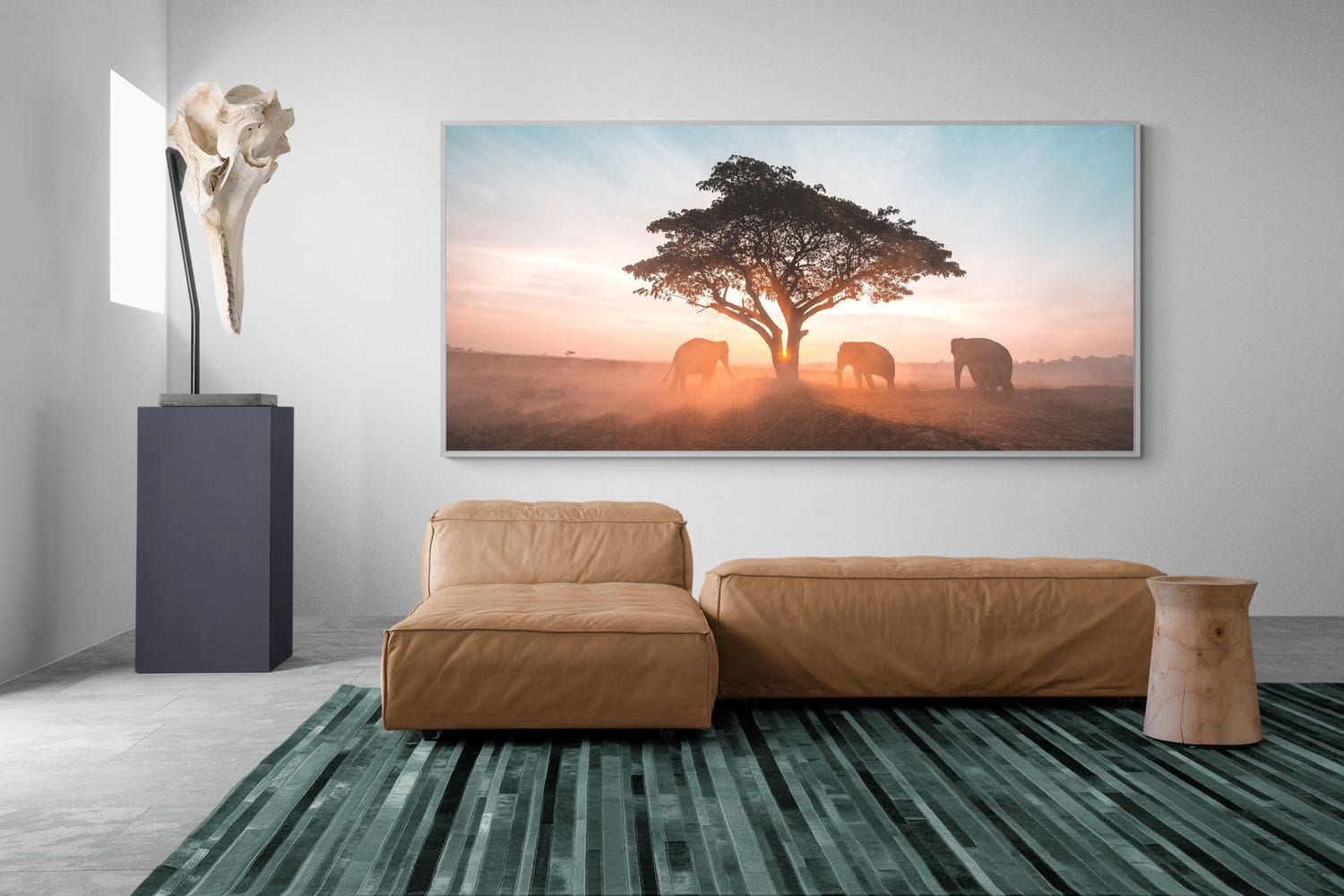 Acacia Cover-Wall_Art-275 x 130cm-Mounted Canvas-White-Pixalot