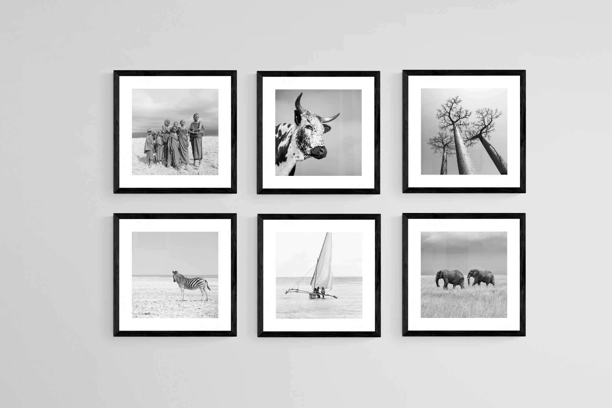 Africa Set-Wall_Art-30 x 30cm (x6)-Framed Print-Black-Pixalot