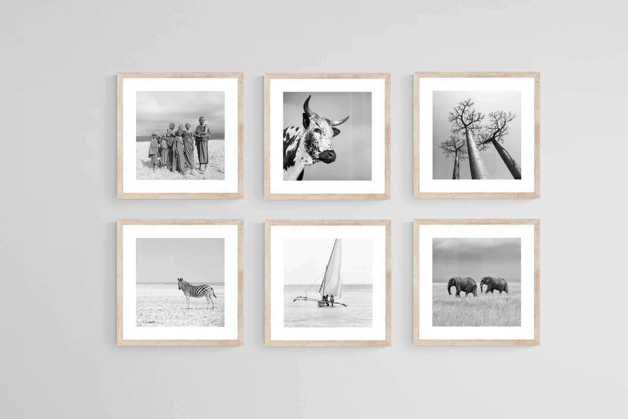 Africa Set-Wall_Art-30 x 30cm (x6)-Framed Print-Wood-Pixalot