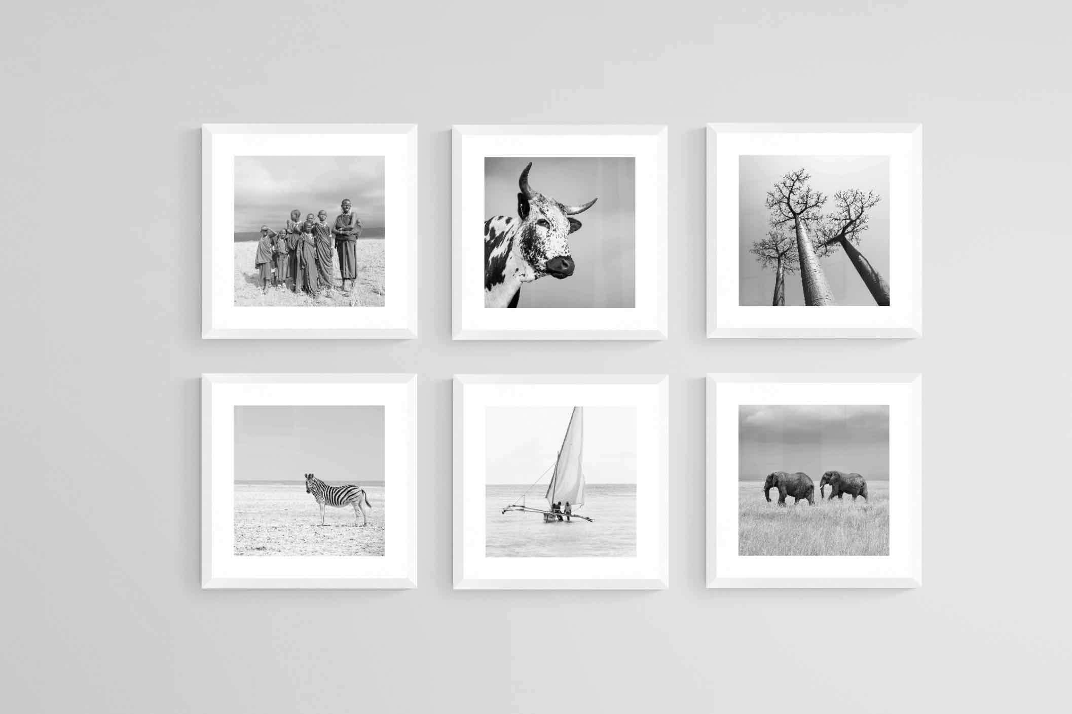 Africa Set-Wall_Art-30 x 30cm (x6)-Framed Print-White-Pixalot