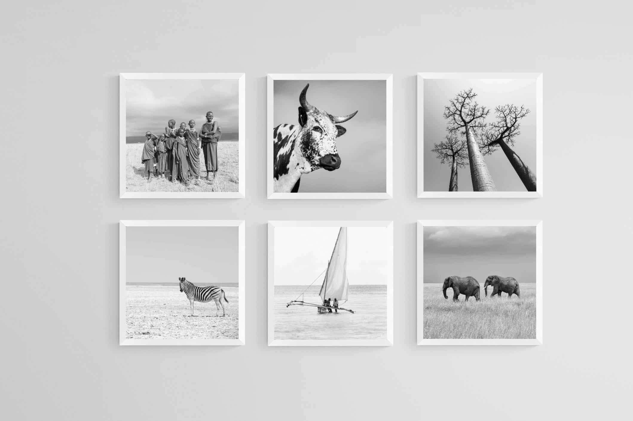 Africa Set-Wall_Art-30 x 30cm (x6)-Mounted Canvas-White-Pixalot