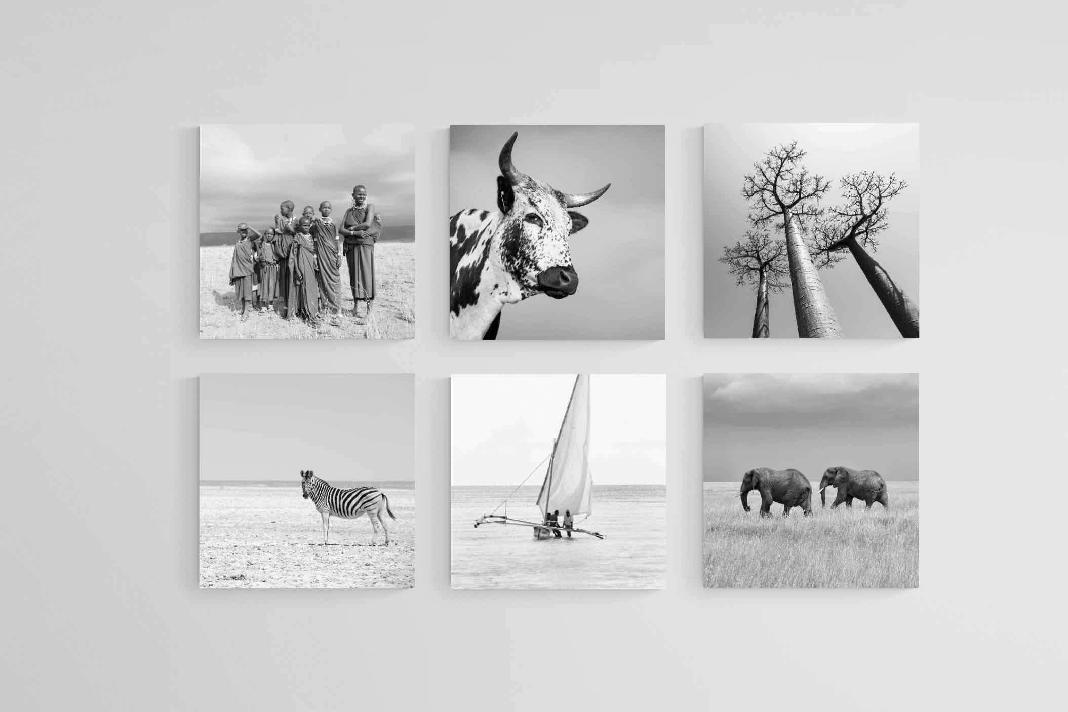 Africa Set-Wall_Art-30 x 30cm (x6)-Mounted Canvas-No Frame-Pixalot