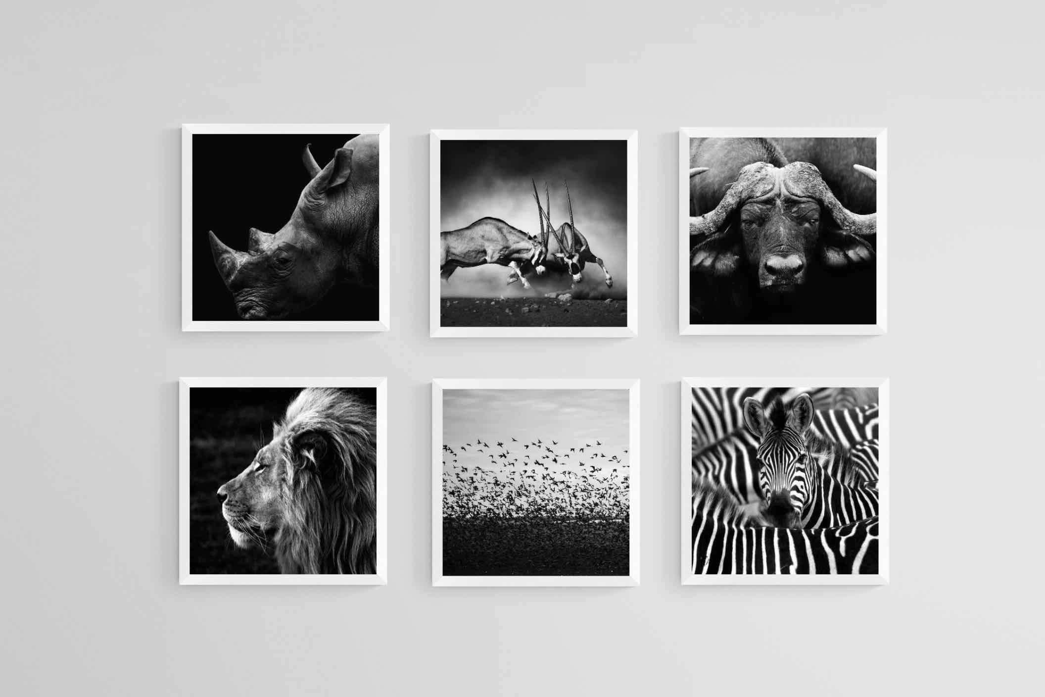 African Animals Set-Wall_Art-30 x 30cm (x6)-Mounted Canvas-White-Pixalot