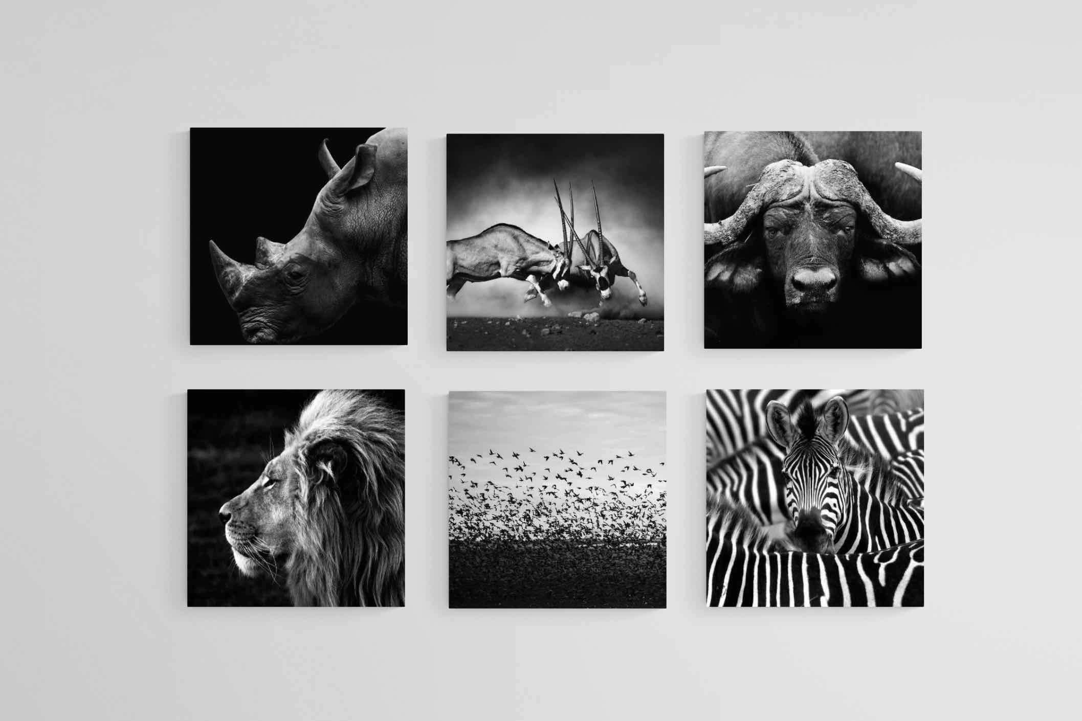 African Animals Set-Wall_Art-30 x 30cm (x6)-Mounted Canvas-No Frame-Pixalot