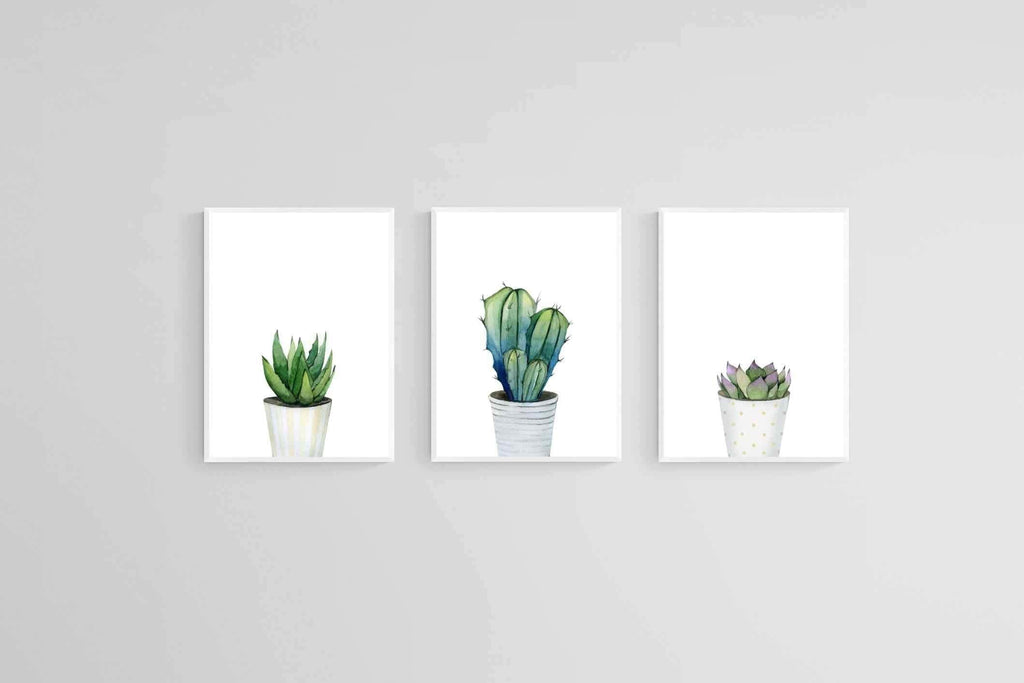 Aloe Set-Wall_Art-60 x 80cm (x3)-Framed Print-White-Pixalot