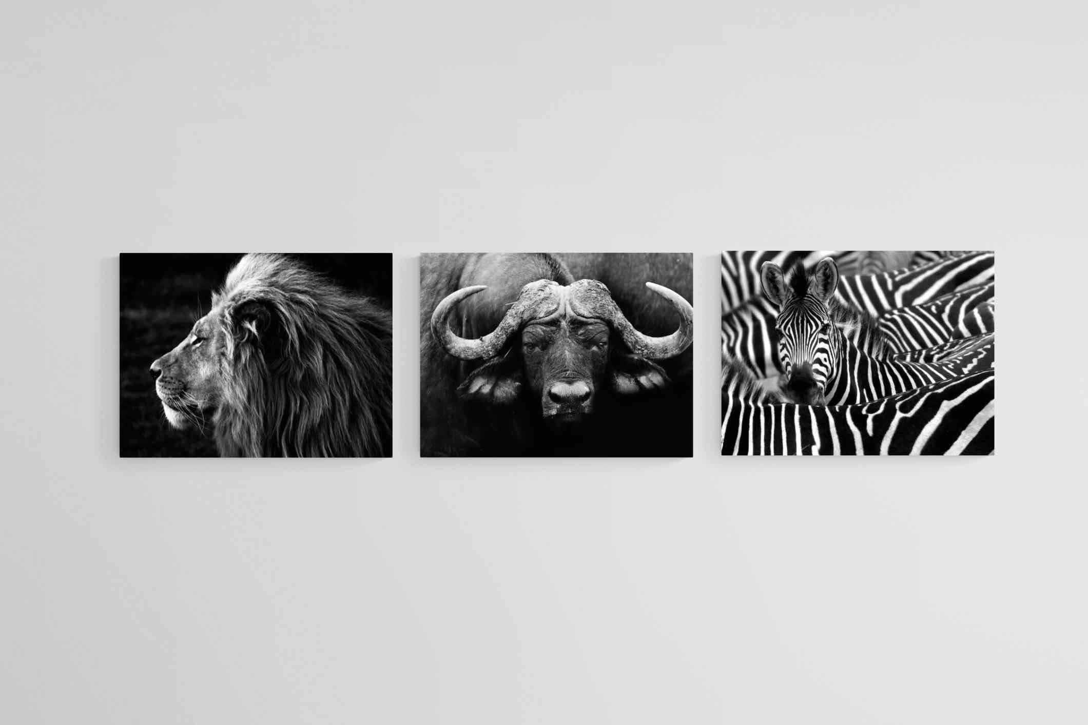Animal Set-Wall_Art-80 x 60cm (x3)-Mounted Canvas-No Frame-Pixalot