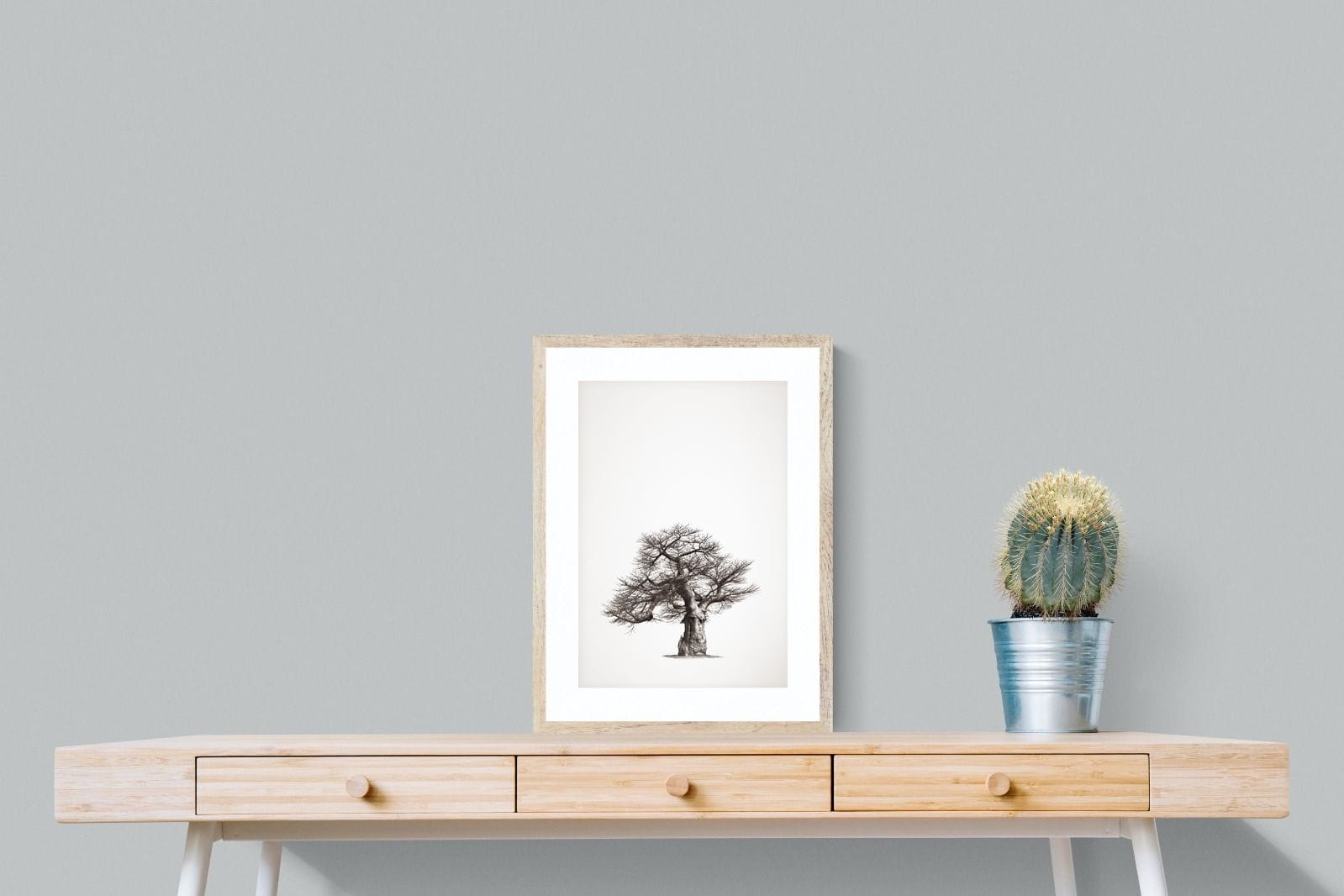Baobab Legacy #1-Wall_Art-45 x 60cm-Framed Print-Wood-Pixalot