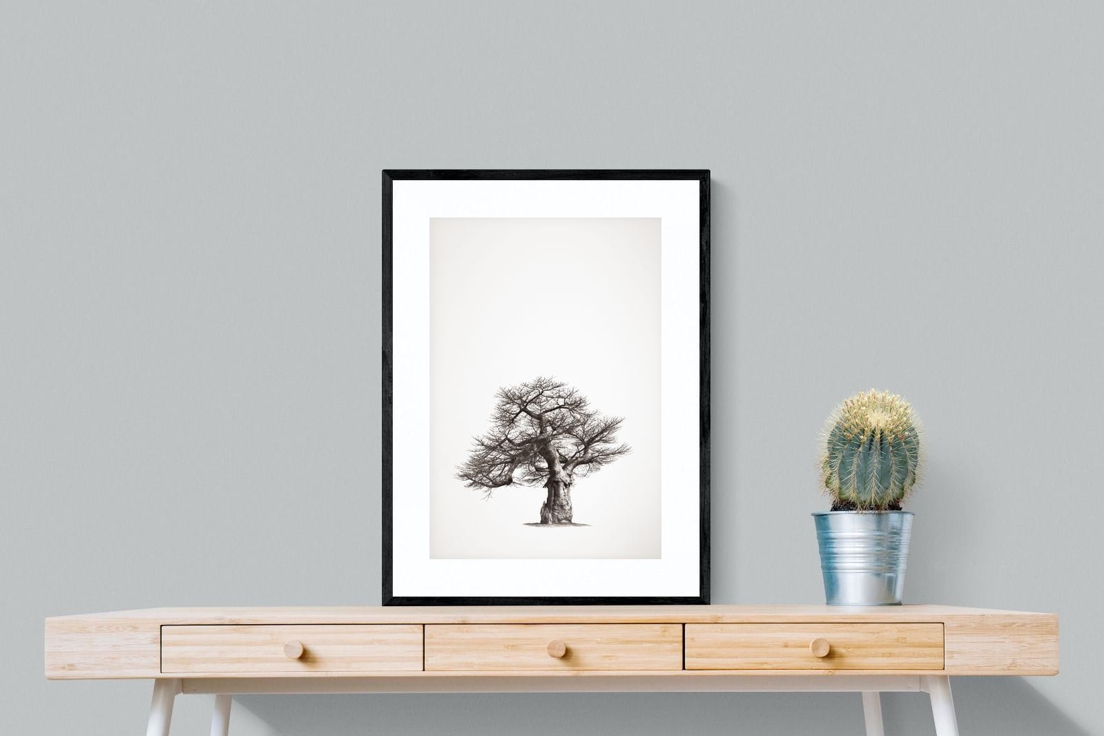 Baobab Legacy #1-Wall_Art-60 x 80cm-Framed Print-Black-Pixalot