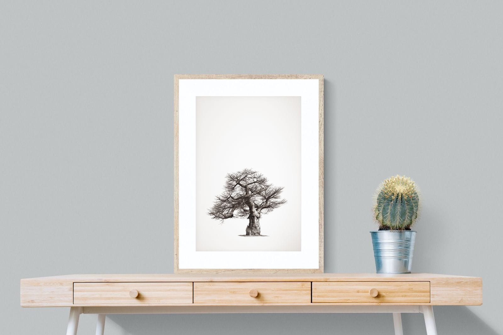 Baobab Legacy #1-Wall_Art-60 x 80cm-Framed Print-Wood-Pixalot