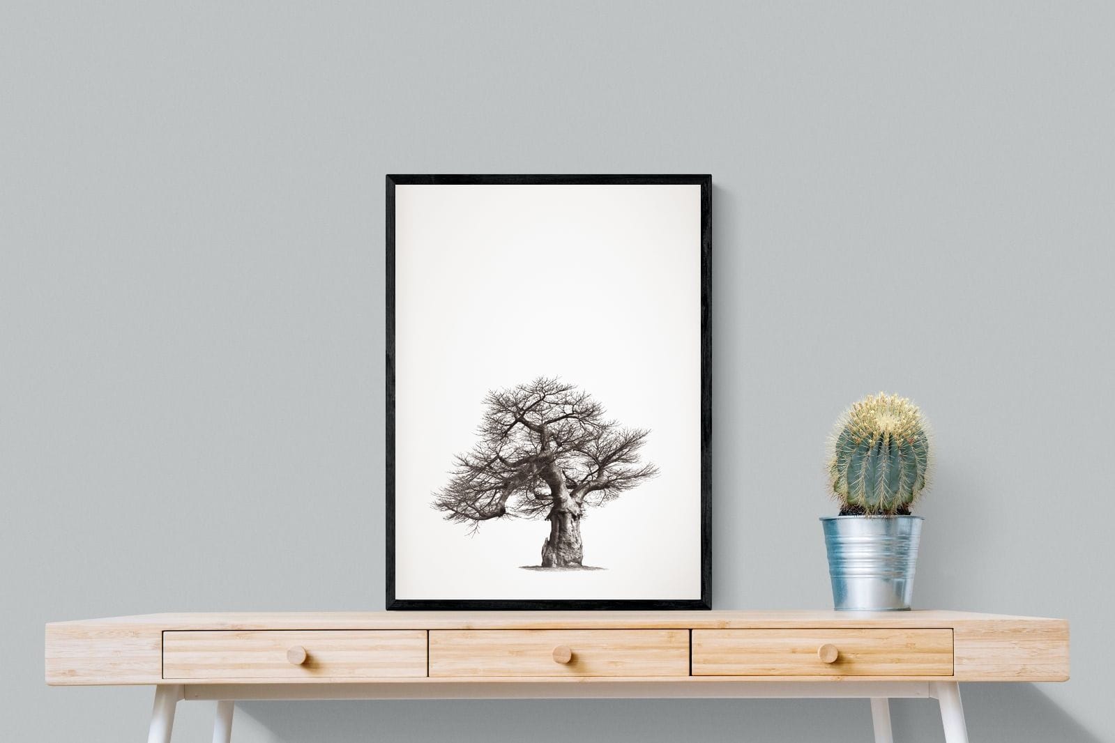 Baobab Legacy #1-Wall_Art-60 x 80cm-Mounted Canvas-Black-Pixalot