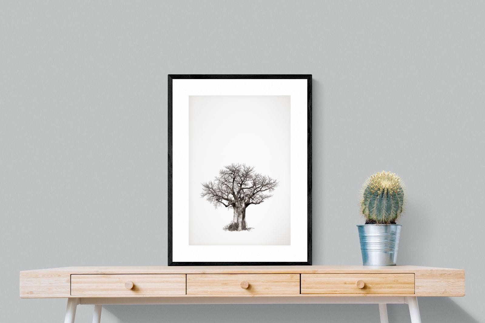 Baobab Legacy #4-Wall_Art-60 x 80cm-Framed Print-Black-Pixalot