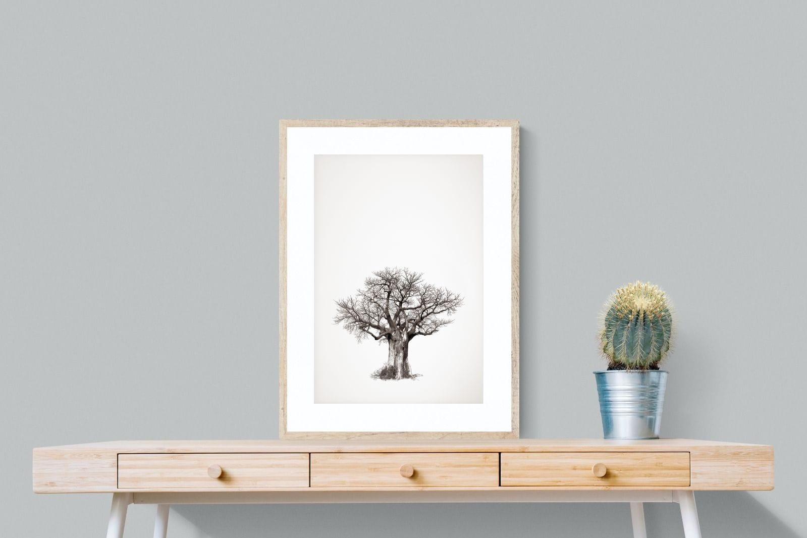 Baobab Legacy #4-Wall_Art-60 x 80cm-Framed Print-Wood-Pixalot